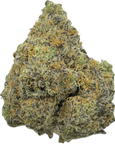 FLower213