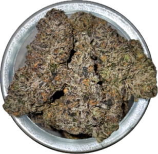 FLower38