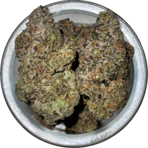 FLower39
