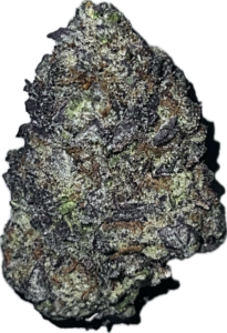 FLower123