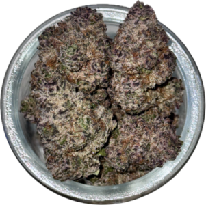 FLower61