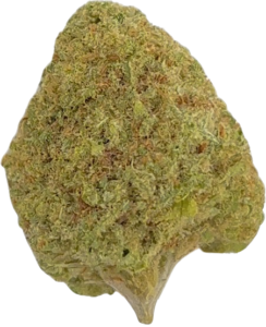 FLower180