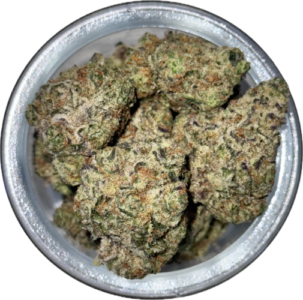 FLower37