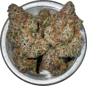 FLower52