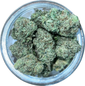 FLower72