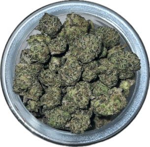 FLower51