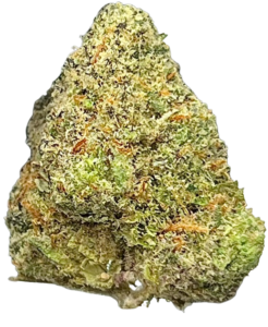 FLower216