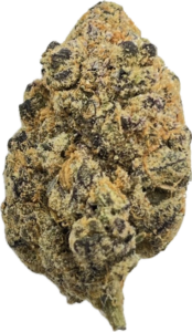 FLower243