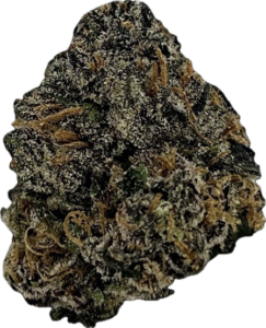 FLower230