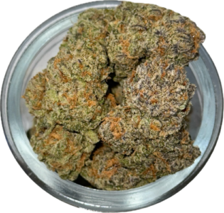 FLower67