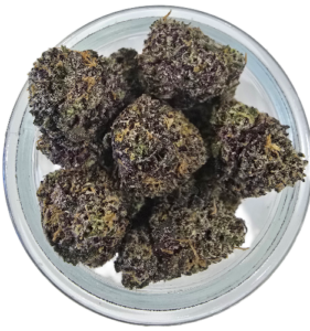 Dr. Grinspoon