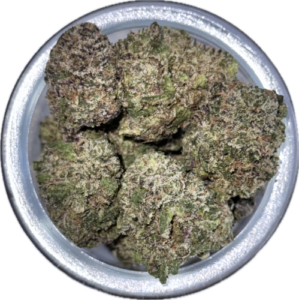 FLower31