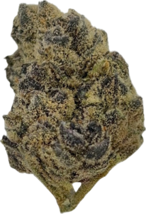 FLower221