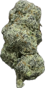 FLower223