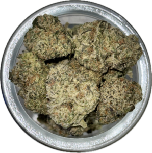 FLower36