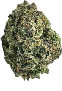 FLower194