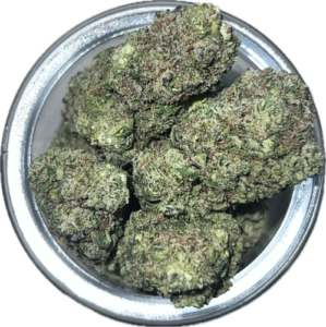 FLower80