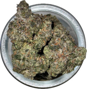 FLower42