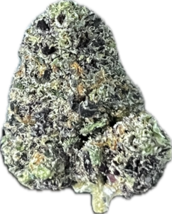 FLower191