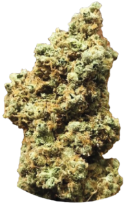 FLower190