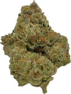 FLower209